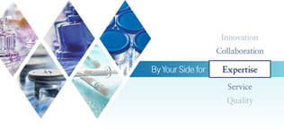 By Your Side for Expertise
