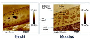 AFM topography and modulus mapping image 