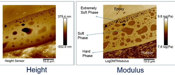 AFM topography and modulus mapping image 