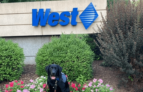CPL Dog in front of the West sign