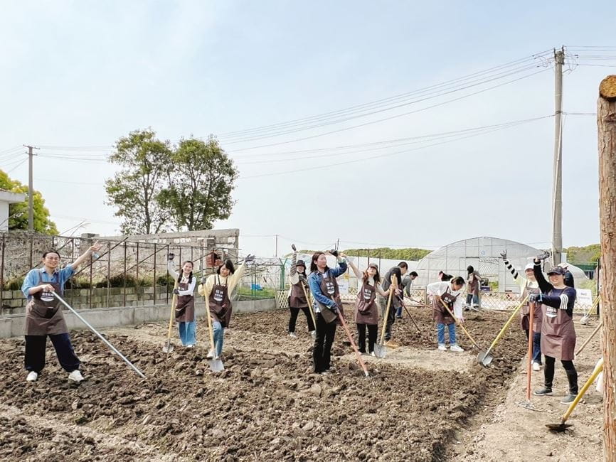 West China team volunteers at local garden to grow sustainable food with Green Food Bank.