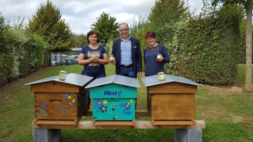 West employees standing with beehives and jars of honey during a sustainability initiative.
