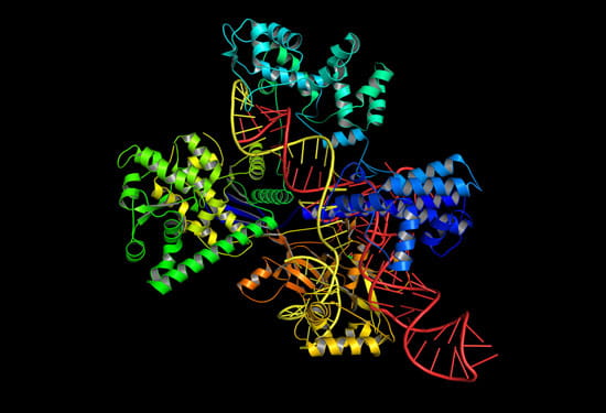 Protein Chemistry