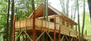 Camp Victory Tree House