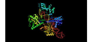 Protein Chemistry