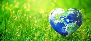 Environmental Sustainability