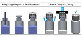 LyoSeals