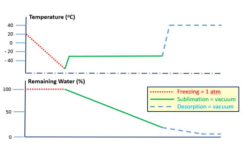 Lyophilization Table