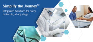 Introducing Integrated Solutions